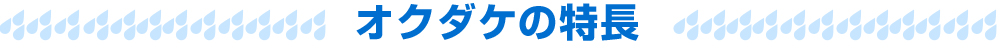 hi~jIN_P̓